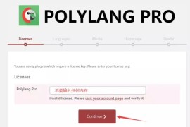 「亲测」WordPress多语言自动翻译插件Polylang Pro插件激活版v3.1.2版本