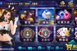 网狐二开锋游众赢棋牌完整组件2套UI