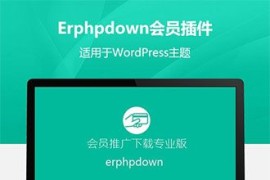 「亲测」Erphpdown插件v11.5-WP收费下载资源/会员推广下载专业版
