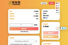 最新版多语言BNB链上智能合约区块链高手