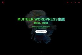 WordPress作品展示主题Muiteer v2.3破解无限制版