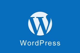WordPress 限制不同用户角色可上传的文件类型及大小