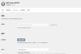 「亲测」WordPress插件邮件发送设置WP Mail SMTP Pro汉化版v3.2.1